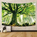 Nature Forest Thick Tree Wall Tapestry Large 3D Print Wall Art Hanging for Bedroom Living Room Dorm Decor, Green and White，80x60 Inch