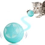 Yakiter Interactive Cat Ball Toy, I