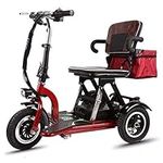 Folding Electric Mobility Scooter F