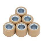 WOOSTAR Variator Roller Weight Replacement for GY6 139QMB 2 Stroke 49cc TaoTao 50cc Racing Jonway Scooter Moped