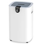 Dehumidifier With Hepa Filter