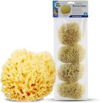 Baby Buddy Natural Wool Sea Sponge,