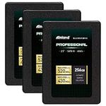 INLAND Professional 3 Pack 256GB SS