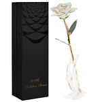 SW White Gold Rose Gifts for Women Mom,24k Gold Dipped Real Rose Lasted Forever with Stand for Her,Christmas,Valentines Day, Mothers Day, Birthday