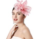 Fogrime Women's Fascinators Feathers Tea Party Hat,Veil Headband with Hair Clip for Cocktail Wedding Church (Pink)