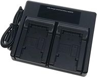 USB Dual Battery Charger for JVC BN