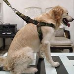 Giant Dog Harness