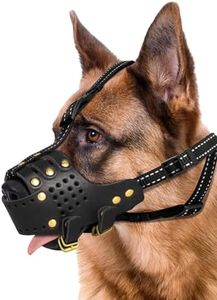 Dog Muzzle