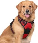 rabbitgoo Dog Harness Large Dog No 