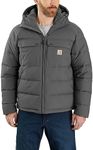 Carhartt Men's Montana Loose Fit In