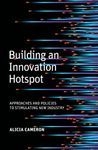 Building an Innovation Hotspot: Approaches and Policies to Stimulating New Industry