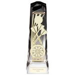 Trophy Superstore Shard Darts Trophy - Free Engraving - 230mm C-50x16