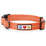 Pawtitas Recycled Dog Collar with Reflective Stitched Puppy Collar Made from Plastic Bottles Collected from Oceans Small Living Coral