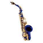 XIXIAN Saxophone,Eb Alto Saxophone Brass E Flat Sax 802 Key Type Woodwind Instrument with Cleaning Rod Cloth Gloves Strap Padded Case