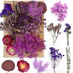 Focenat Real Dried Pressed Flowers for Crafts, A5 Size Mixed Multiple Natural Dried Flowers Leaves for Wedding Art DIY Resin Craft Scrapbooking Decoration Cards (Purple)