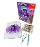 Dissect It: Bat Lab - STEM Toy - Synthetic Dissection Kit - Realistic and Safe, Kid Friendly! Small