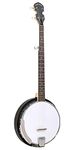 Gold Tone AC-5 5 String Banjo