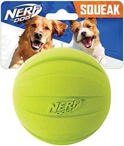 Nerf Dog R