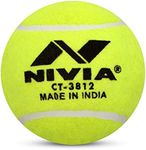 Nivia 12-Pack Heavy Tennis, Cricket