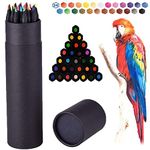 Surcotto Colouring Pencils, 24 Coloured Pencils for Children, Ideal for Adult Colouring, Mandala, School Supplies, Vibrant Colour,Pre-sharpened