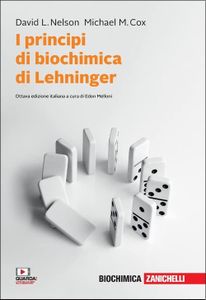 I principi