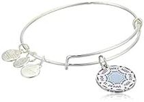 Alex and Ani Connections Expandable