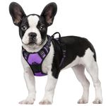 rabbitgoo Dog Harness, No-Pull Pet Harness with 2 Leash Clips, Adjustable Soft Padded Dog Vest, Reflective No-Choke Pet Oxford Vest with Easy Control Handle for Small Dogs, Purple, S