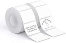 NIIMBOT 2 Rolls Labels for B1/B21/B