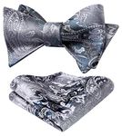 HISDERN Self Tie Bow Tie Men's Gray Bowtie Adjustable Bows Tie Set Classic Paisley Dickie Bow Ties for Business Tuxedo Wedding Party Prom with Gift Box