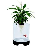 Penn-Plax Aquaponic Planter and Aquarium for Betta Fish Tank Promotes Healthy Hydroponic Environment for Plants and Fish.