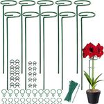 10Pack Plant Support Stakes,15.8in 