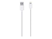 Belkin F8J023BT04-WHT Lightning to USB ChargeSync Cable for iPhone 5/5S/5c, iPad 4th Gen, Mini, and iPod Touch 7th, 4 Feet (White)