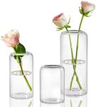 ZENS Glass Bud Vases Set of 3, Mini