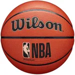 WILSON NBA Forge Indoor/Outdoor Bas