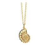 Winssigma 18K Gold Stainless Steel Bee Honeycomb Necklace, Star Moon Necklace Dinosaur Necklace spider Necklace Adjustable Y Lariat Necklace for Women(Gold Conch)