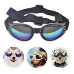 Dog Sunglasses