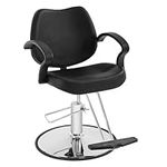 PayLessHere Barber Chair Salon Chai