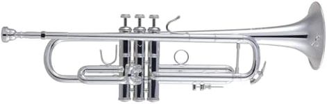 Bach 180S43R Professional Stradivar