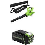 Greenworks Tools GD40BV Cordless Leaf Blower and Vacuum 2-in-1 (Li-Ion 40 V 280 km/hour Air Speed 45 l Bag Speed Control Powerful Brushless Motor，5Ah battery & fast Charger）