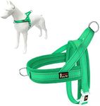 Plutus Pet No Pull Dog Harness with