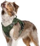 rabbitgoo Tactical Dog Harness No P