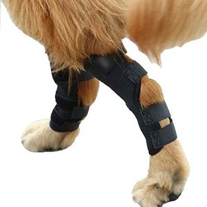 Dog Knee B