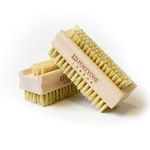 1541 London Beechwood Wooden Nail Brush with Firm Cactus Bristle (2 pack)