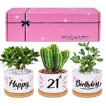 FORAGIFT 21st Birthday Gifts for Women - Beautiful Keepsake 21st Birthday Gifts for Her - Our Pretty Pots are Perfect 21 Year Old Birthday Gifts for Women Friends(Plants Not Included!)