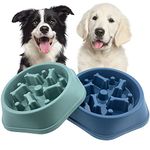 CAISHOW Slow Feeder Dog Bowl Slow Food Feeding Pet Bowl Slow Eating Healthy Design for Small Medium Size Dogs