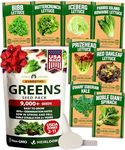 HOME GROWN 8 Lettuce & Salad Greens Seed Vault - 4,000+ Non-GMO Vegetable Seeds for Outdoors or Indoors - Seeds for Planting Hydroponic Garden