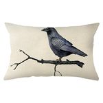 Ogiselestyle Happy Halloween Black Raven Throw Pillow Covers, 12 x 20 Inch Halloween Pillow Cases Decoration for Home Sofa Couch