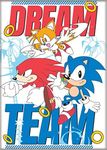 Ata-Boy Sonic The Hedgehog Magnet - Dream Team 2.5" x 3.5" Magnet for Refrigerators, Whiteboards & Locker Decorations…