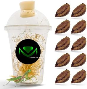 European Mantis Egg Case (Mantis Religiosa, Ten Egg Cases) - Beneficial for Stem Education and Gardening, Comes with Hatching Habitat Cup, Educational Hatching Kit, Easy to Care for with Simple Setup