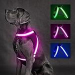 ChalkLit Light Up Dog Harness, No P